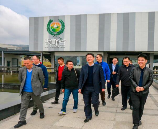 集团党委书记、董事长任丁率队调研聚峰谷
