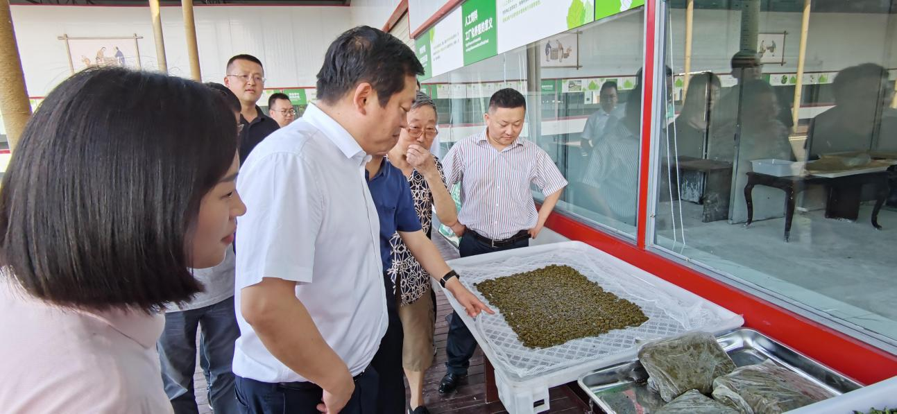 省尊龙凯时集团党委副书记、董事陈日赴嘉陵区调研茶桑产业发展情况