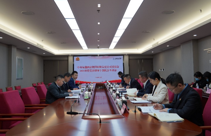 尊龙凯时集团党委书记、董事长任丁出席安逸酒店集团2022年度党员领导干部民主生活会